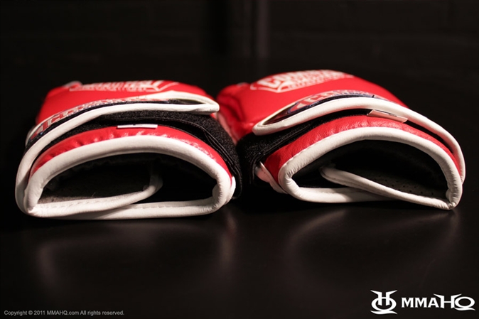 Combat Sports Gloves